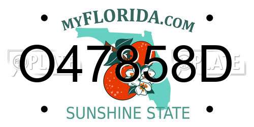 O47858D Florida License Plate