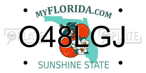 O48LGJ Florida License Plate