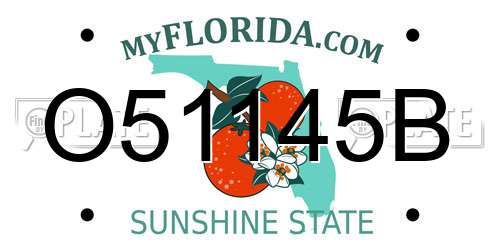 O51145B Florida License Plate