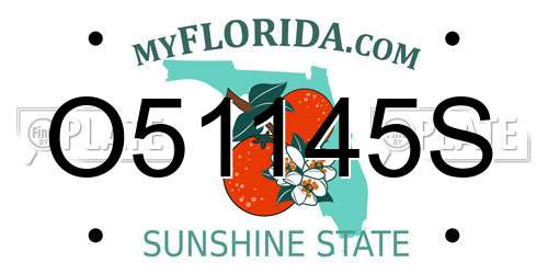 O51145S Florida License Plate