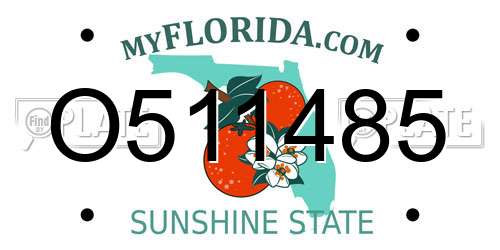 O511485 Florida License Plate