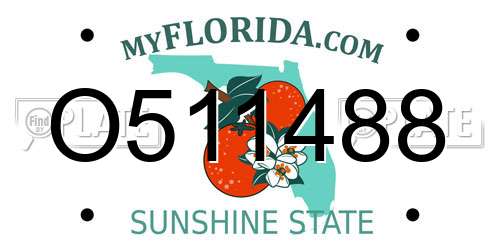 O511488 Florida License Plate