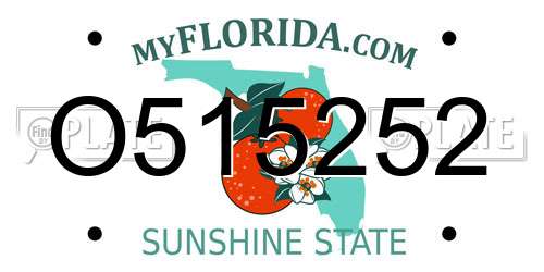 O515252 Florida License Plate