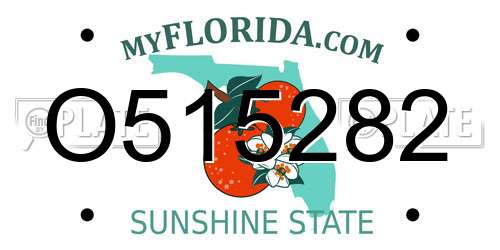 O515282 Florida License Plate