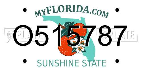 O515787 Florida License Plate