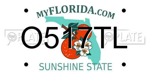 O517TL Florida License Plate