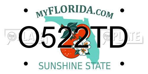 O522TD Florida License Plate