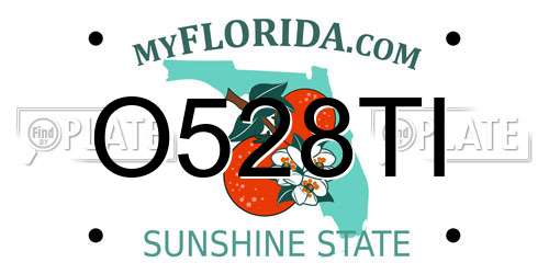 O528TI Florida License Plate