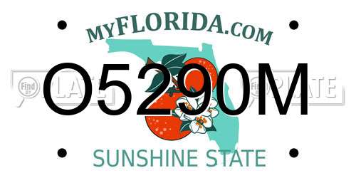 O5290M Florida License Plate