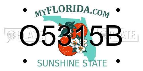 O5315B Florida License Plate