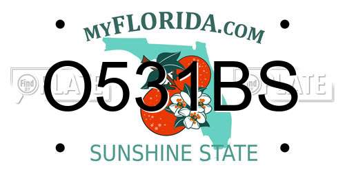 O531BS Florida License Plate