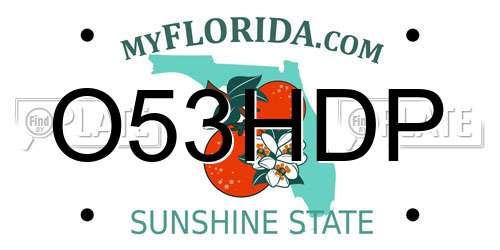 O53HDP Florida License Plate