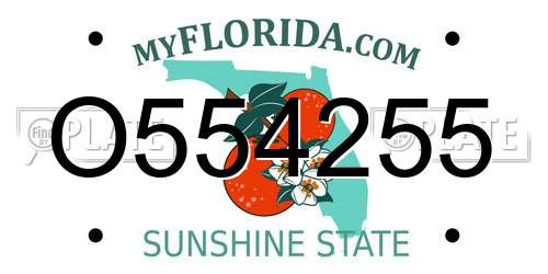 O554255 Florida License Plate