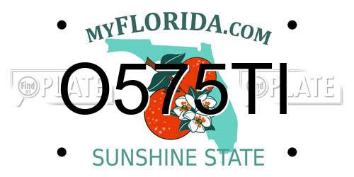 O575TI Florida License Plate