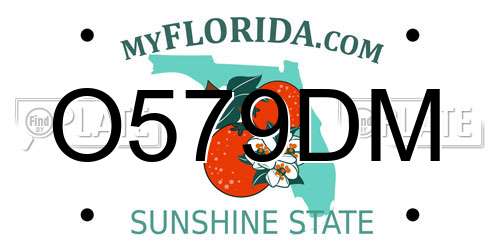O579DM Florida License Plate