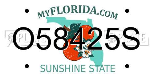 O58425S Florida License Plate