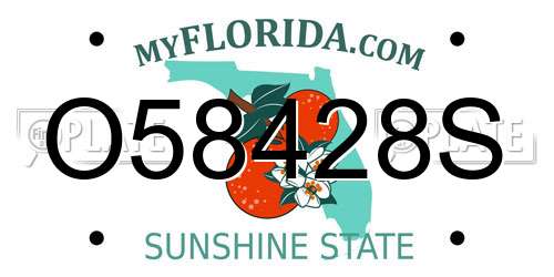 O58428S Florida License Plate