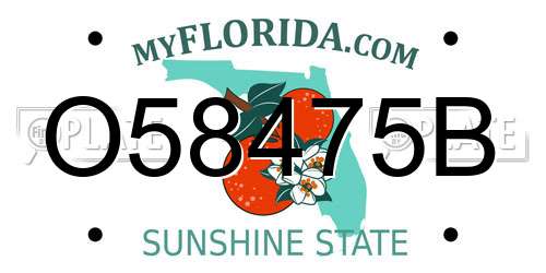 O58475B Florida License Plate