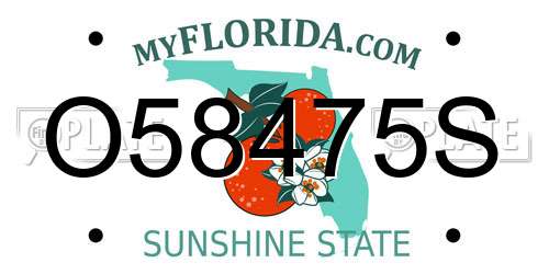 O58475S Florida License Plate
