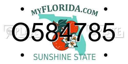 O584785 Florida License Plate