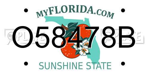 O58478B Florida License Plate