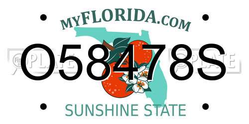 O58478S Florida License Plate