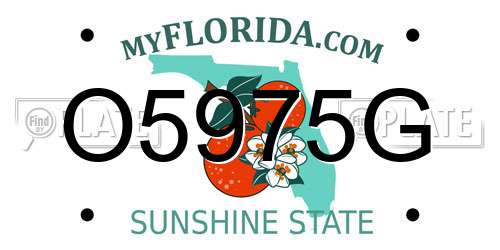 O5975G Florida License Plate