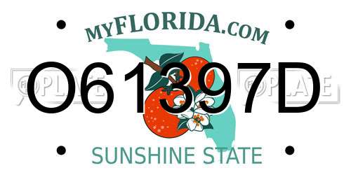 O61397D Florida License Plate