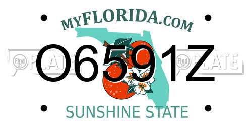 O6591Z Florida License Plate