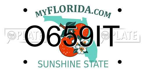 O659IT Florida License Plate