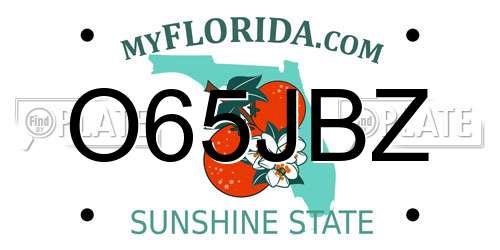 O65JBZ Florida License Plate