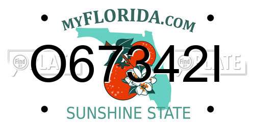 O67342I Florida License Plate