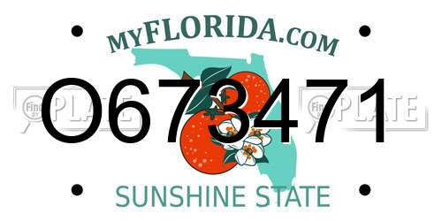 O673471 Florida License Plate