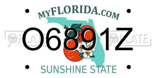 O6891Z Florida License Plate