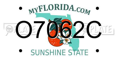 O7062C Florida License Plate