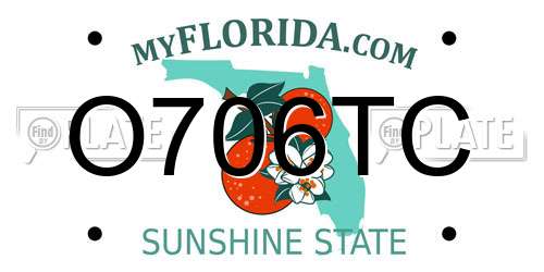 O706TC Florida License Plate