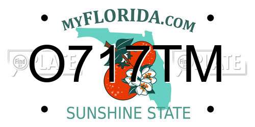 O717TM Florida License Plate
