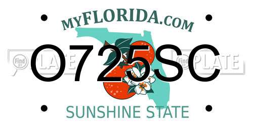 O725SC Florida License Plate