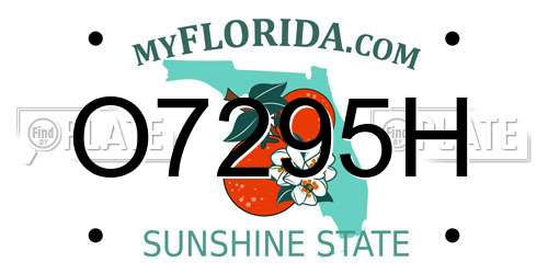 O7295H Florida License Plate