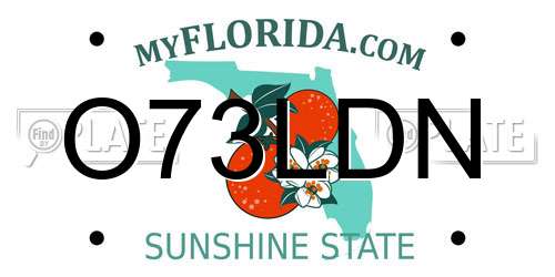 O73LDN Florida License Plate