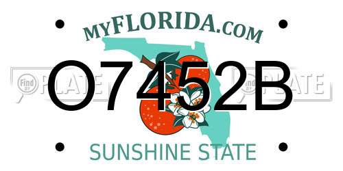 O7452B Florida License Plate