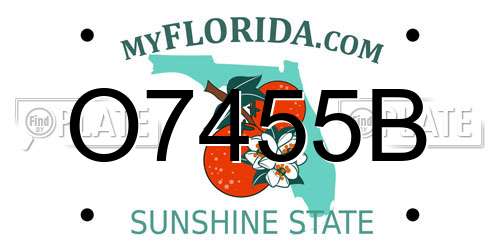 O7455B Florida License Plate