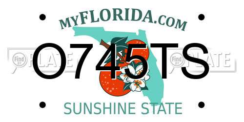 O745TS Florida License Plate