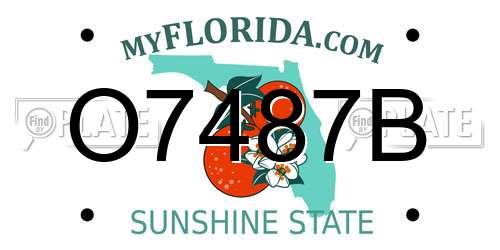 O7487B Florida License Plate