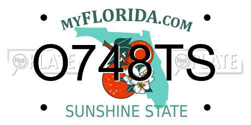 O748TS Florida License Plate