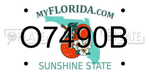 O7490B Florida License Plate