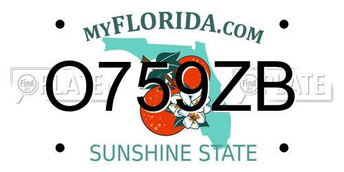 O759ZB Florida License Plate