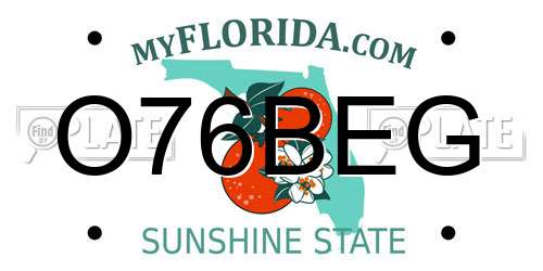 O76BEG Florida License Plate