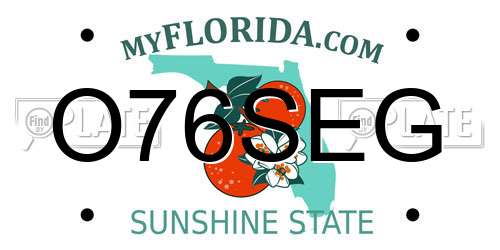 O76SEG Florida License Plate