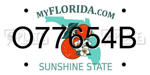O77654B Florida License Plate